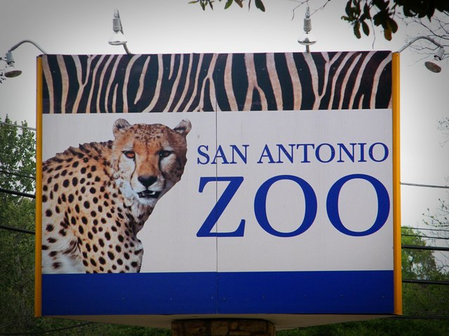get a job at the San Antonio zoo