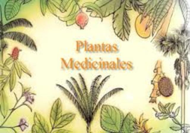 proyecto textos originales