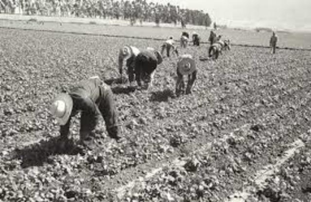 The Bracero Program Was Created