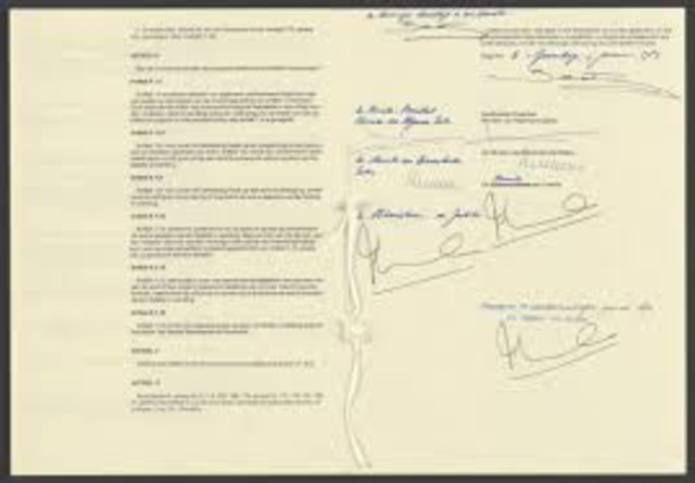 Sciale grondrechten in grondwet