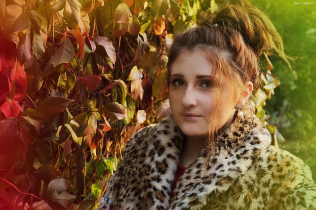 Фотосессии