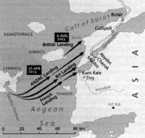 The Battle of Scimitar Hill
