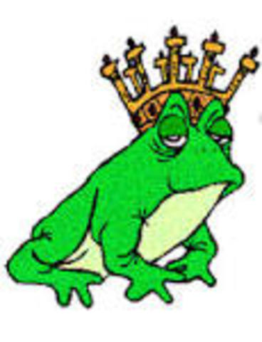 The Enchanted Frog