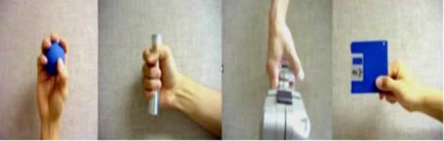 francés Gripoulleau,