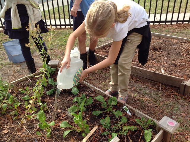 The Christmas Break Shock