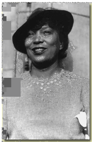 Zora Neale Hurston :Literature