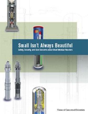 Small Modular Reactors: Safety, Security and Cost Concerns (2013)