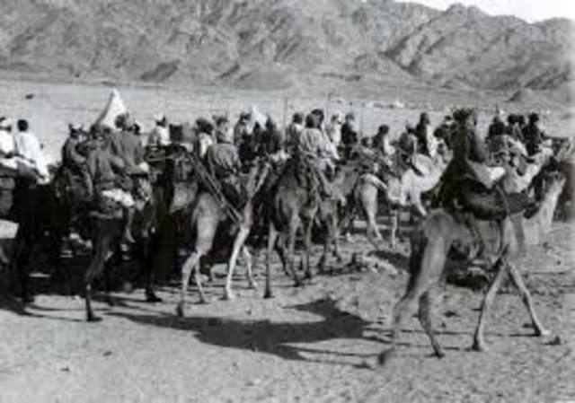 WWI T.E Lawrence  / launched guerilla war