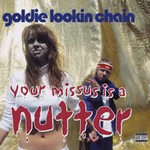 First Goldie Lookin Chain Album, Don't Blame the Chain