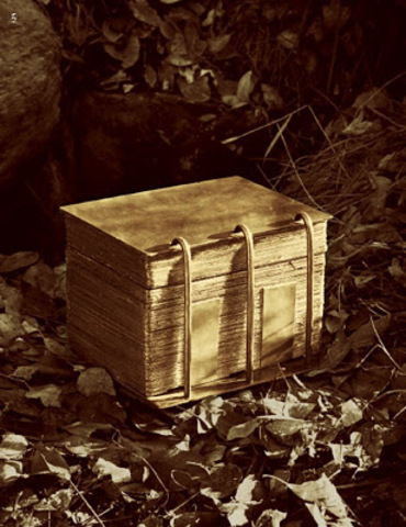 Recieves gold Plates