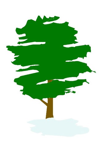 INS El Til·ler (2011-2012)