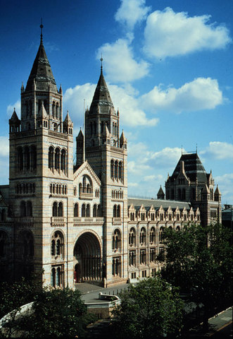 6 weeks  NHM (London)