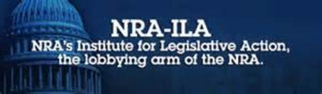The Beginning of Politics and the NRA
