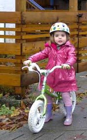 EARLY CHILDHOOD-THE SCHOOL YEARS: (2-6): BIOSOCIAL