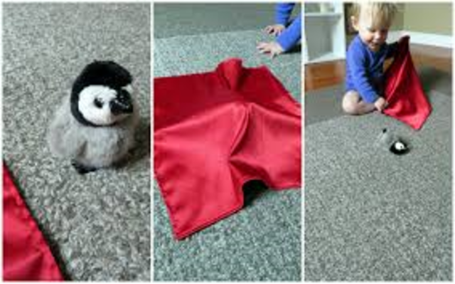 Seath Developes Object  Permanence