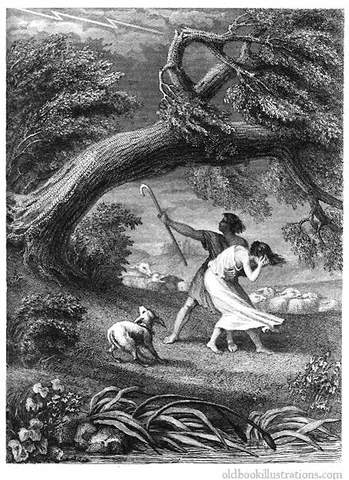 Дуб и трость