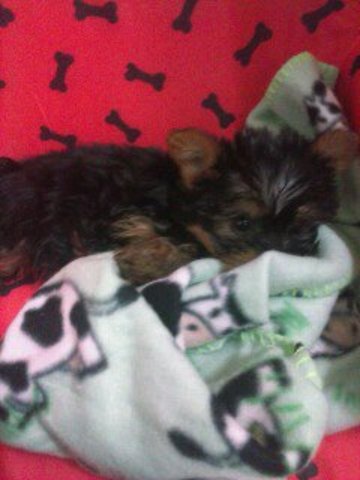 cuando tenia unos dias en casa