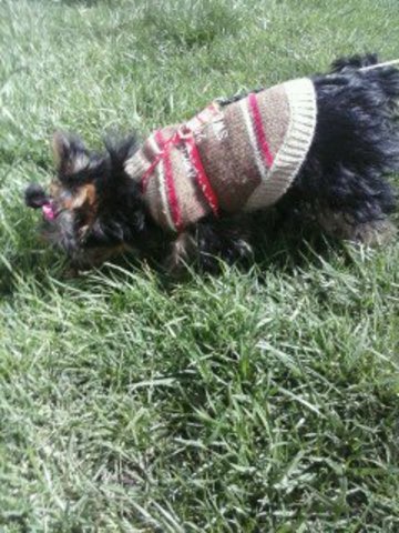 cuando tenia 3 meses