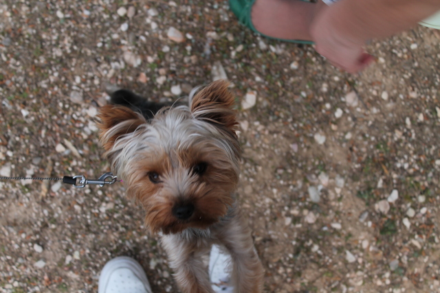 cuando tenia 5 meses