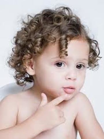 16-18 Months (Cognitive)