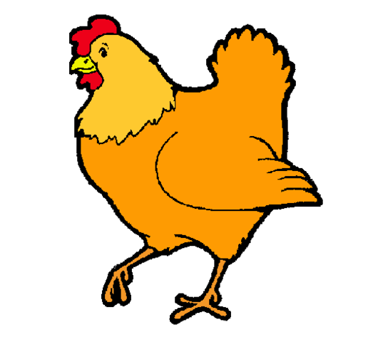 Gallina