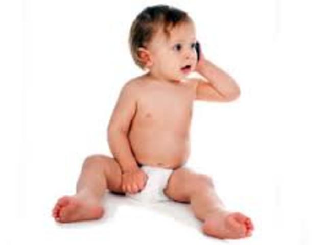 Cognitive Development 13-5 months