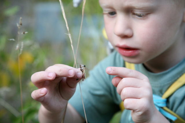 19-21 months cognitive