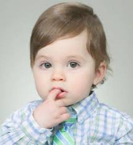 16 to 18 Months (Cognitive)