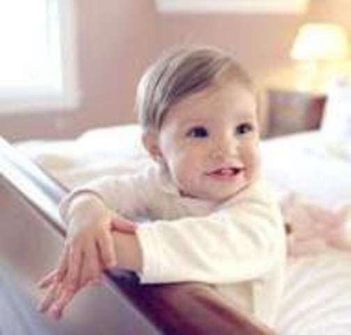 Toddler (16-18 months physical)