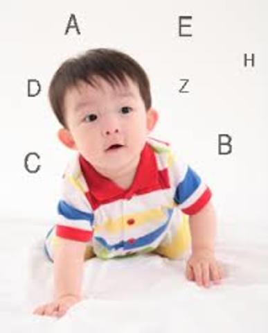 19-21months cognitive