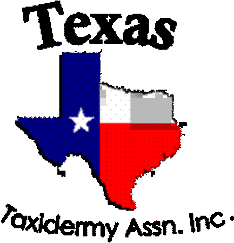 graduate from centeral Texas school of taxidremy