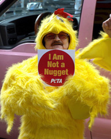 PETA is Created
