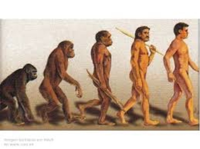 El origen de las especies