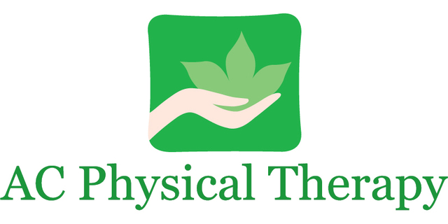 job as a physical therapist