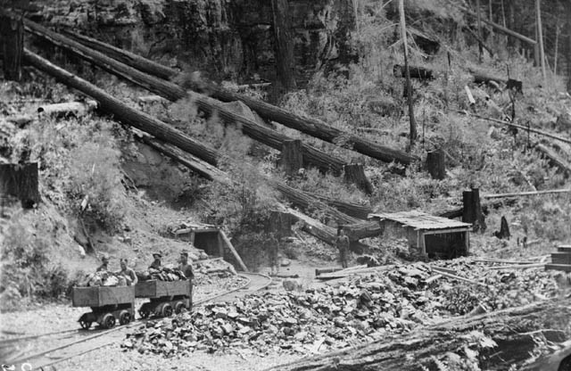 Coal Sent to California