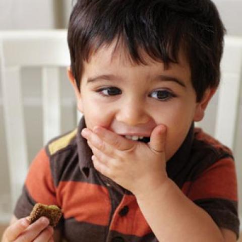 22 to 24 months-Cognitive