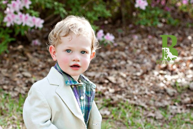 24-30 months cognitive