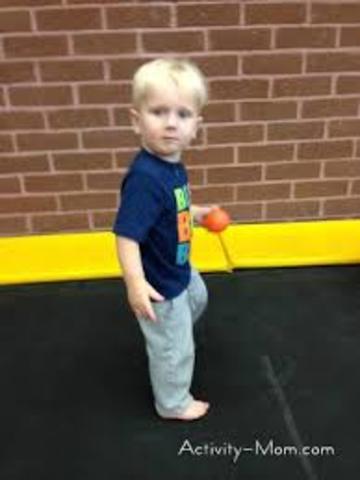 24-30 Months (Cognitive)