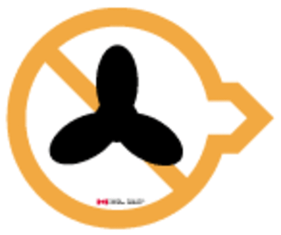 The Restrictions of Boats