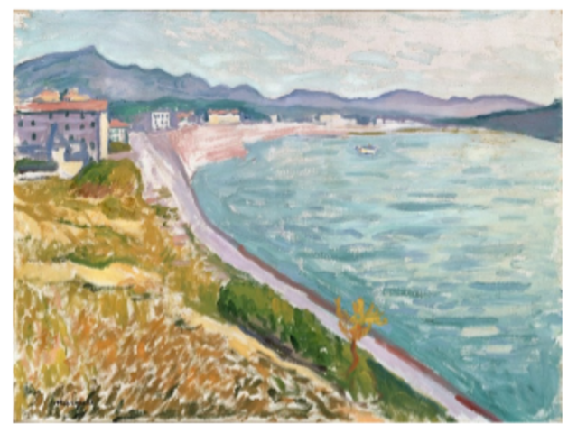 Vista de San Juan de la Luz