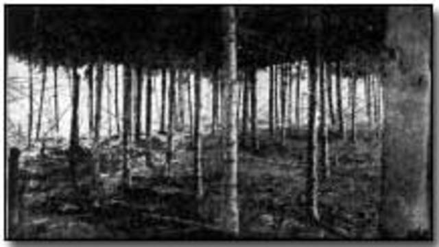 Invasion of Lorraine