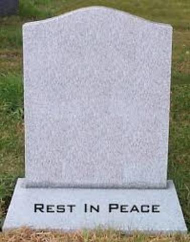 Michelangelo's Mother Dies