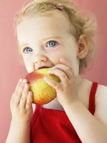 22 to 24 Months (Physical)