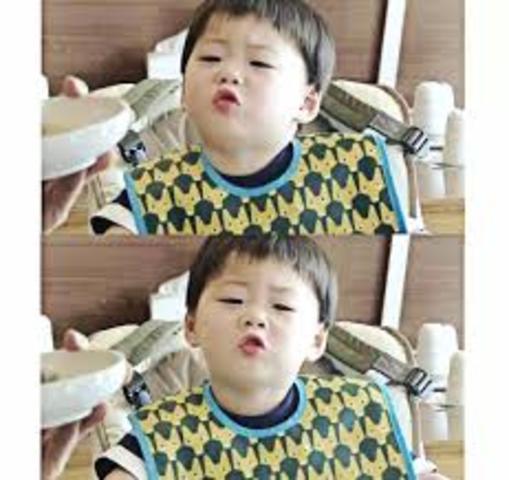 30-36month cognitive