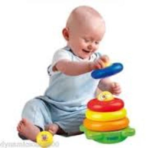 Cognitive Development 30-36 months