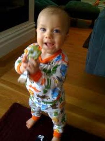 toddler (22-24 cognative)