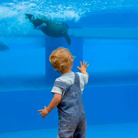 19-21 Months (Intellectual)