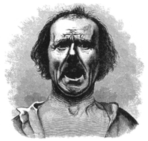 La expresión de las emociones en el hombre y los animales