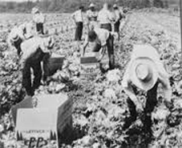 Farm workers
