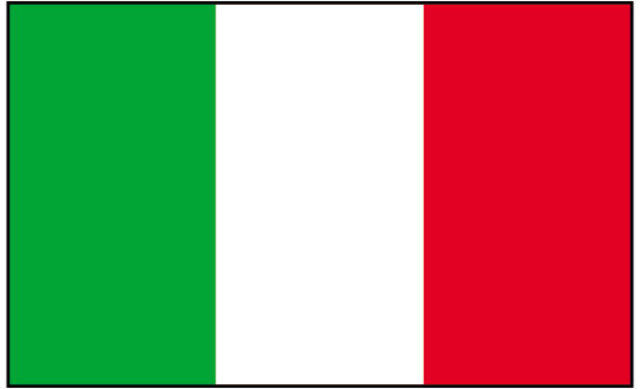 Italian army reorganized